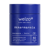 Ultra Purity Akkermansia 60 billion AFU gut health probiotic