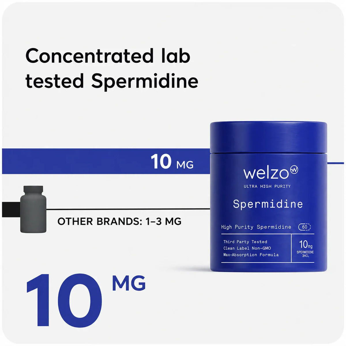 Ultra Purity Spermidine capsules for cellular renewal – view 2