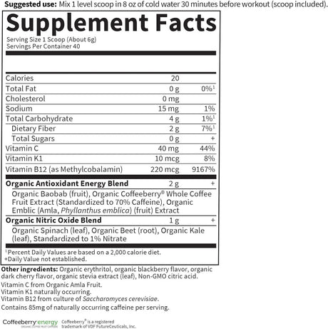 Garden of Life Sport Organic Plant-Based Berry Pre-Workout Energy, 231g