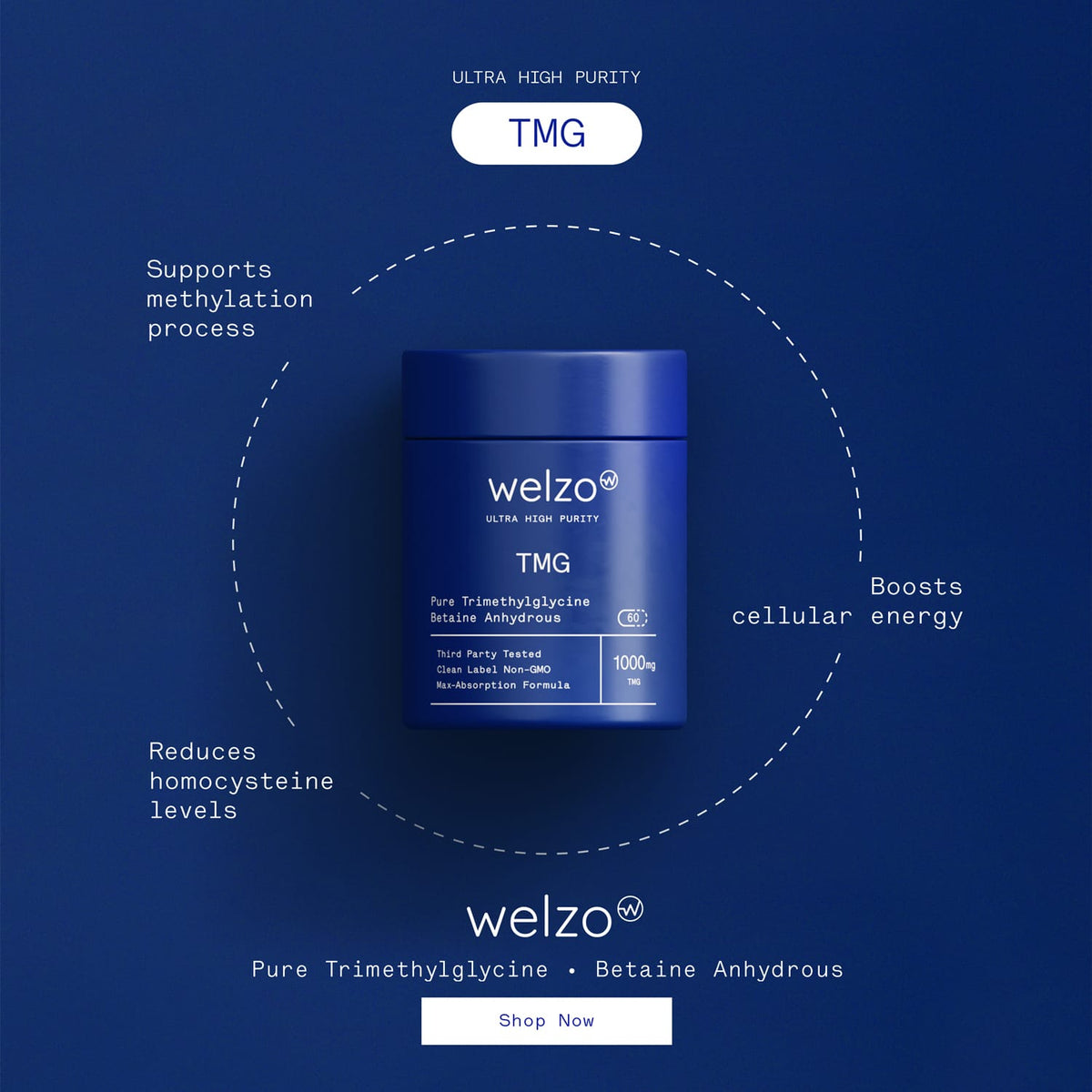 Ultra Purity Energy and Focus Stack NMN PQQ TMG – view 6