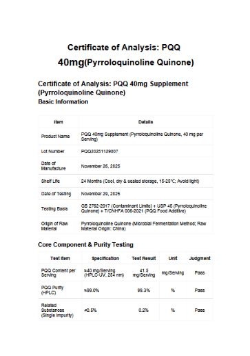 Welzo energy and fatigue blood test with NMN and PQQ supplement bundle – view 9